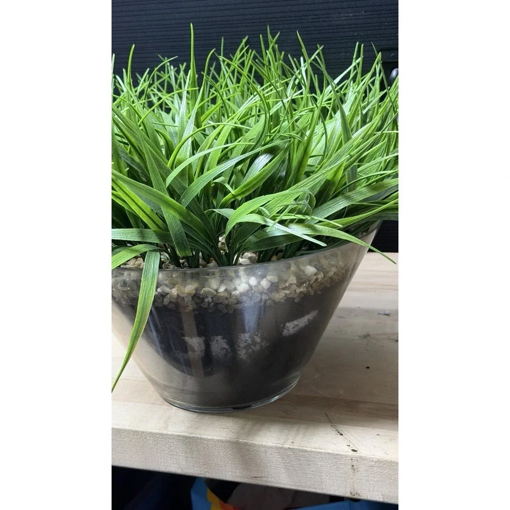 Artificial Grass‎ Plant in Glass Pot Faux Green Decor ~12
